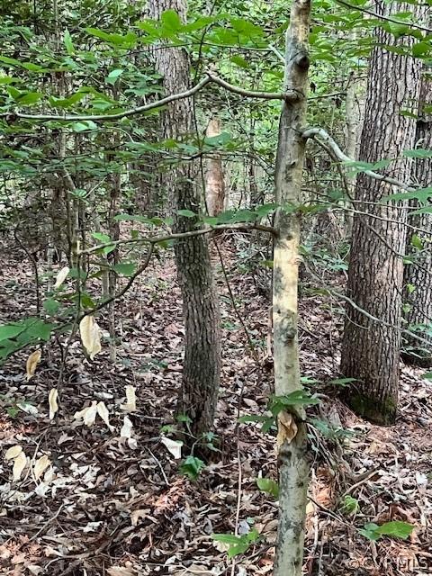 000 Pineview Rd, Brodnax, VA 23920