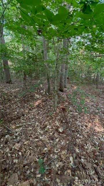000 Pineview Rd, Brodnax, VA 23920