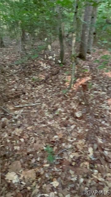 000 Pineview Rd, Brodnax, VA 23920