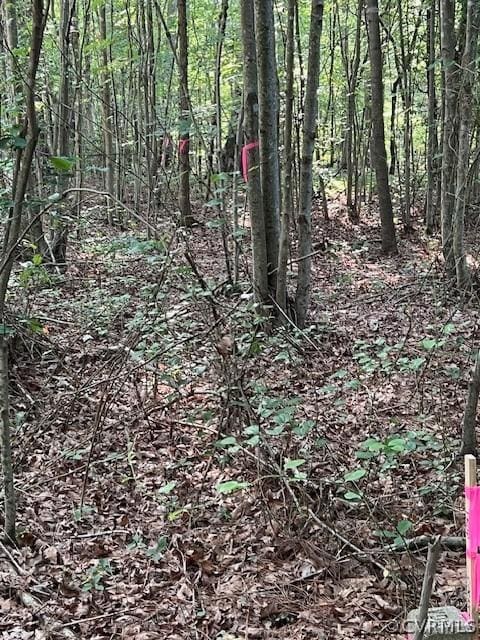 000 Pineview Rd, Brodnax, VA 23920