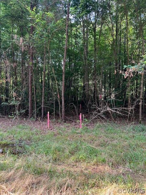 000 Pineview Rd, Brodnax, VA 23920