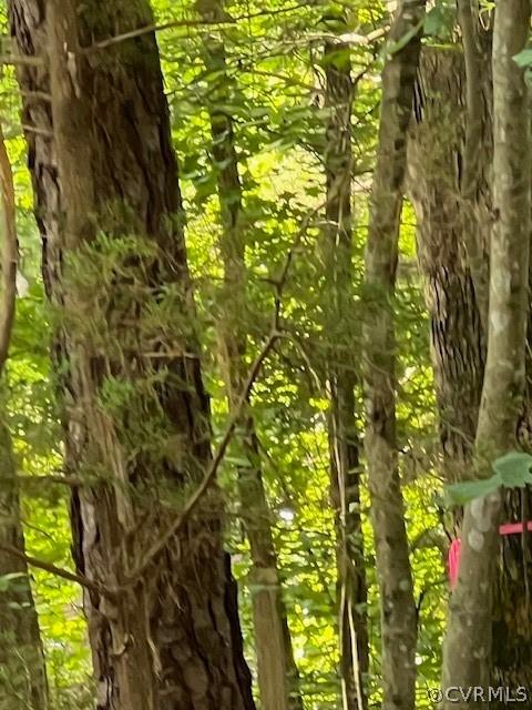 000 Pineview Rd, Brodnax, VA 23920
