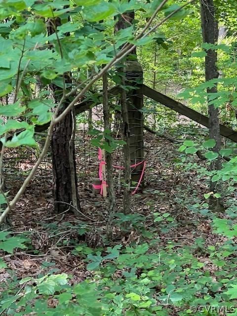 000 Pineview Rd, Brodnax, VA 23920