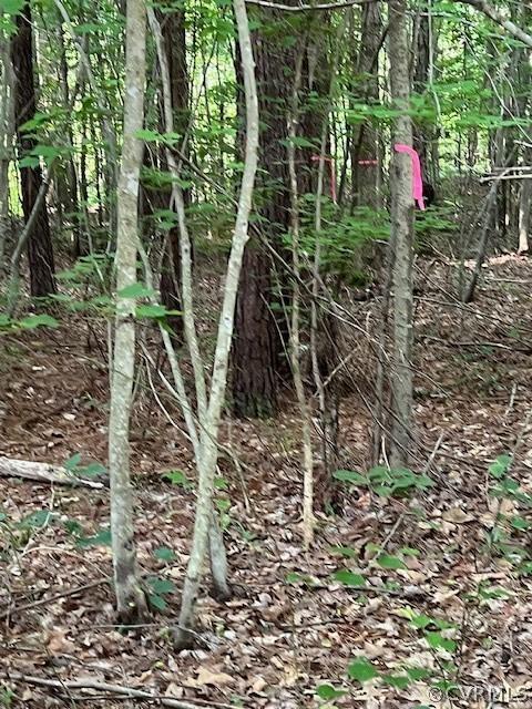 000 Pineview Rd, Brodnax, VA 23920