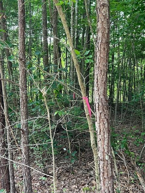 000 Pineview Rd, Brodnax, VA 23920