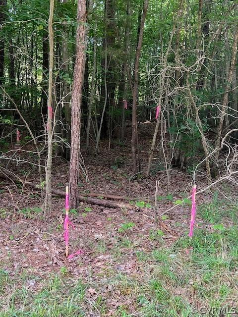000 Pineview Rd, Brodnax, VA 23920