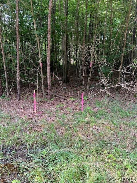 000 Pineview Rd, Brodnax, VA 23920