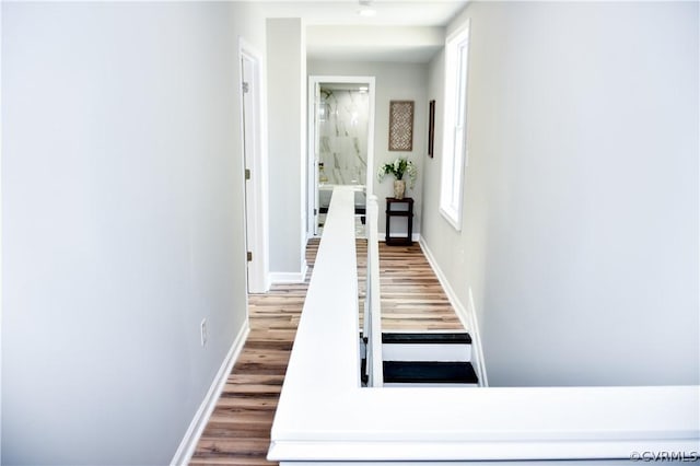 hall featuring wood-type flooring