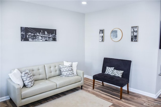 living room featuring hardwood / wood-style floors