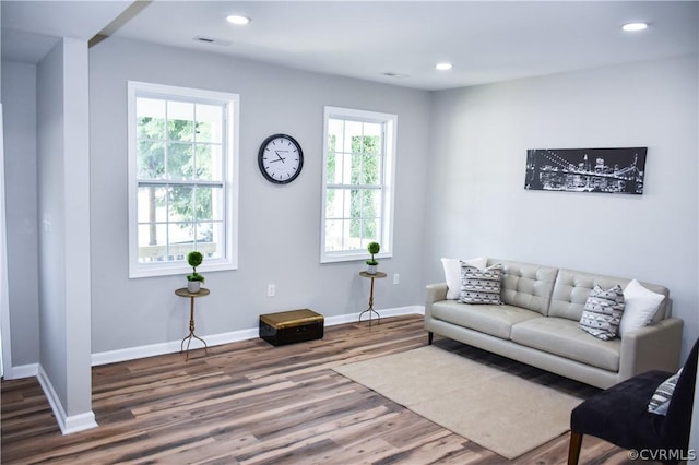 living room with hardwood / wood-style flooring