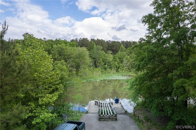 dock area with a forest view