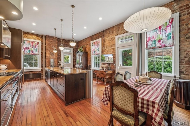 kitchen featuring dark brown cabinets, an island with sink, a healthy amount of sunlight, and light hardwood / wood-style floors