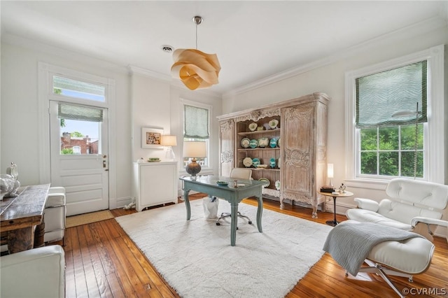 home office with hardwood / wood-style floors and ornamental molding