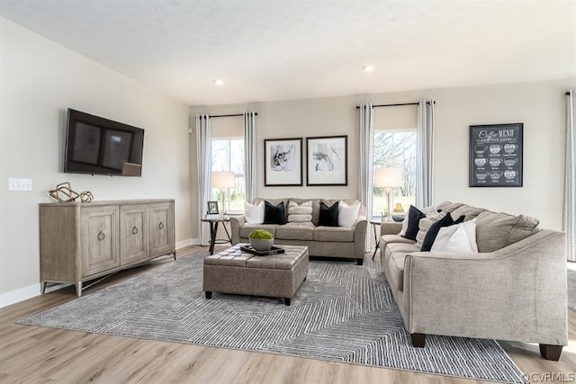 living room featuring wood-type flooring