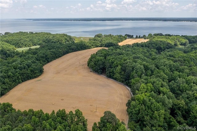 birds eye view of property featuring a view of trees and a water view