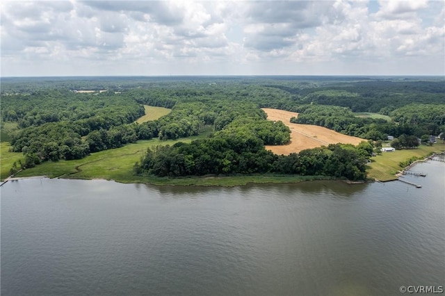 bird's eye view featuring a forest view and a water view