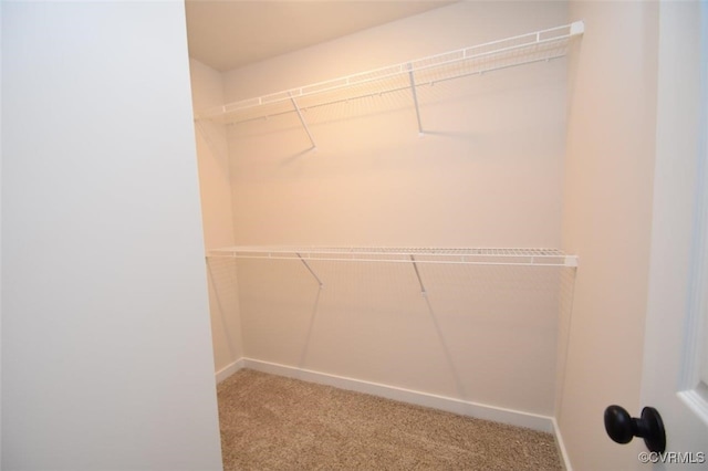 spacious closet with carpet floors