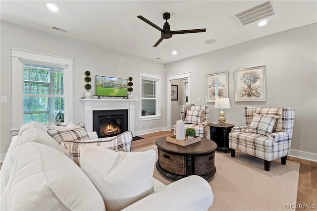 living room featuring ceiling fan and wood-type flooring