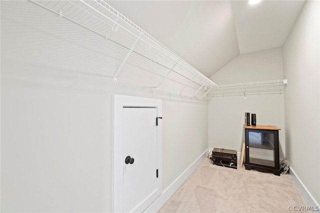 walk in closet featuring carpet floors