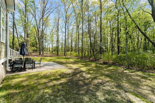 view of yard with a patio area