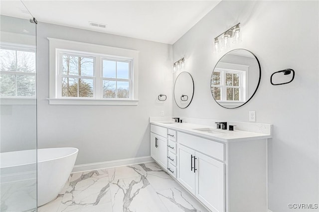 bathroom featuring vanity, plenty of natural light, and a bathing tub