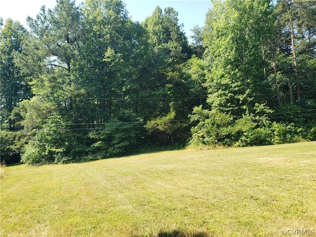 3684 Cedar Plains Rd, Sandy Hook, VA 23153 - photo 18
