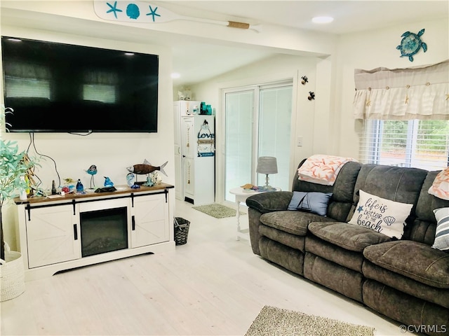 living room featuring hardwood / wood-style flooring