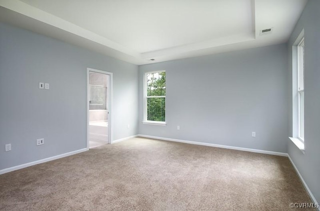 carpeted spare room featuring a raised ceiling