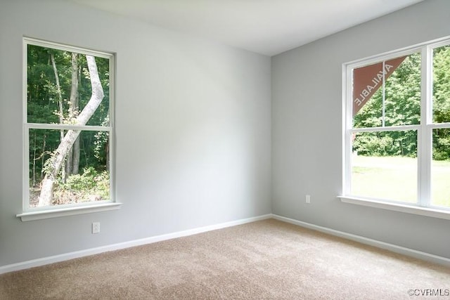 empty room with carpet and a healthy amount of sunlight