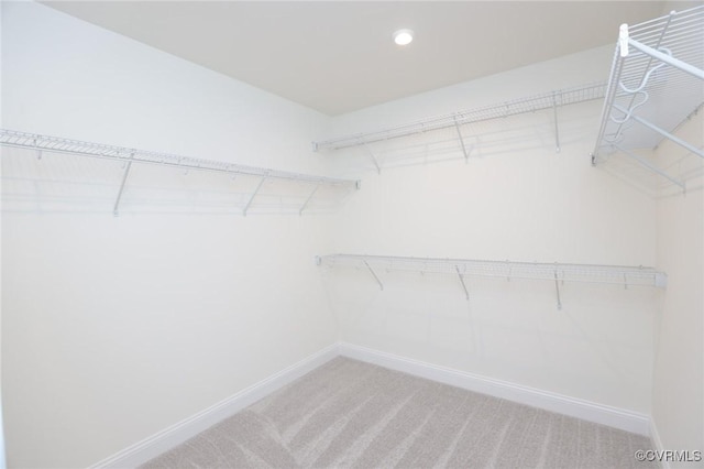 spacious closet with carpet flooring