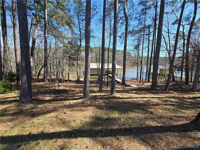 view of yard featuring a water view