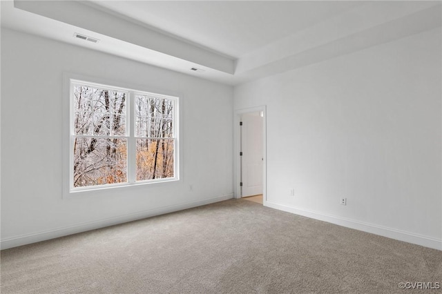 unfurnished room featuring carpet and a tray ceiling