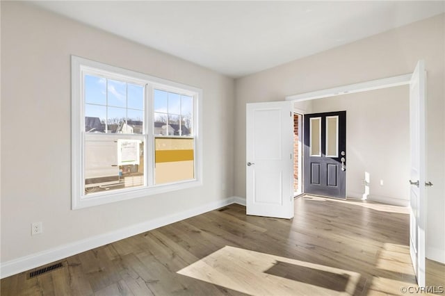 entryway featuring wood-type flooring