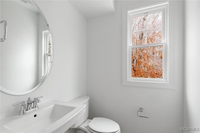 bathroom with sink, toilet, and plenty of natural light