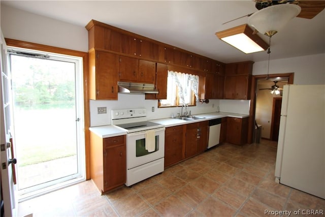 kitchen with light countertops, a ceiling fan, a sink, white appliances, and under cabinet range hood