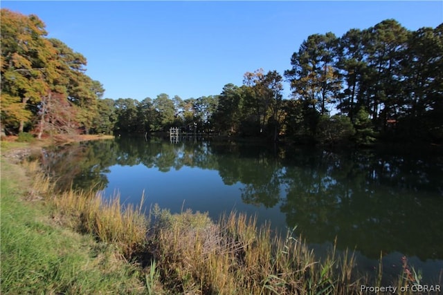 property view of water with a view of trees