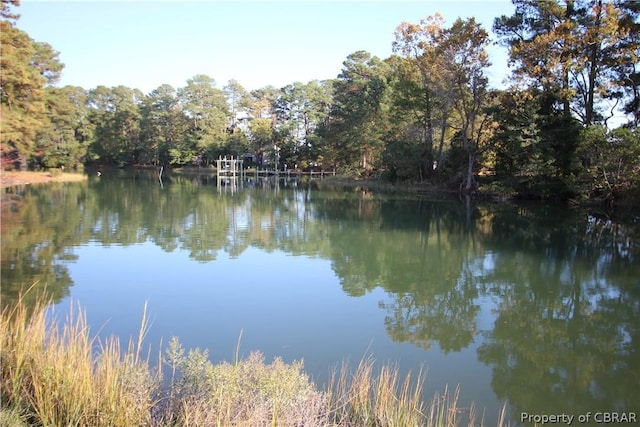 water view featuring a forest view