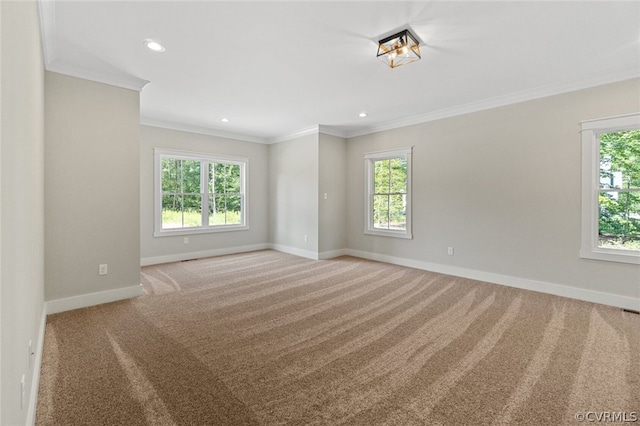 empty room with ornamental molding, plenty of natural light, and light carpet