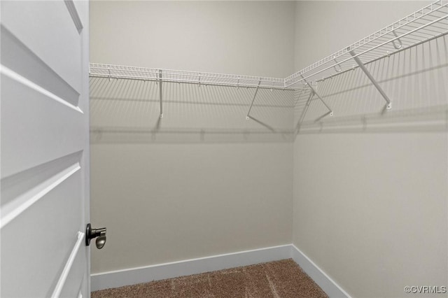 spacious closet with carpet flooring