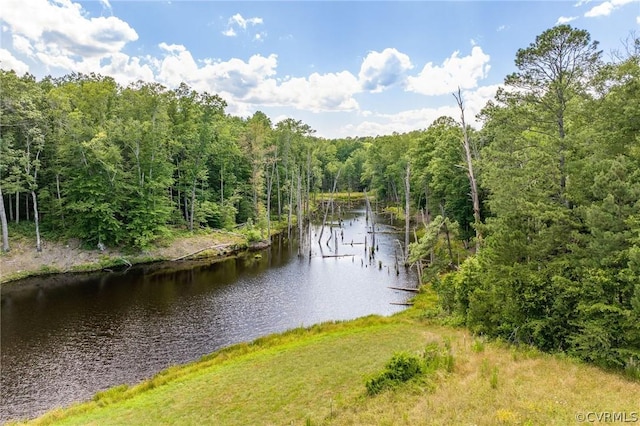 water view featuring a wooded view