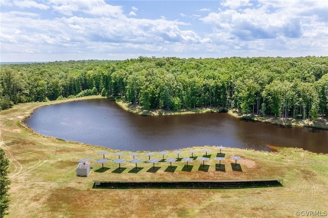 view of water feature with a forest view
