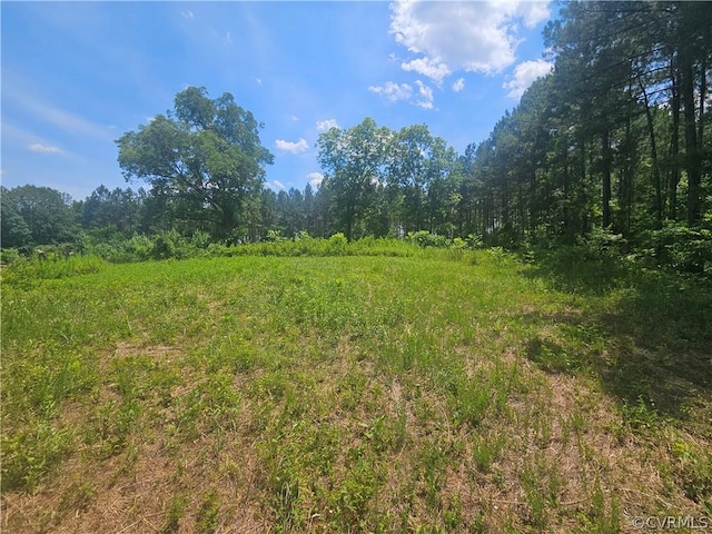602 Longview Dr, Kenbridge, VA 23944 - photo 11