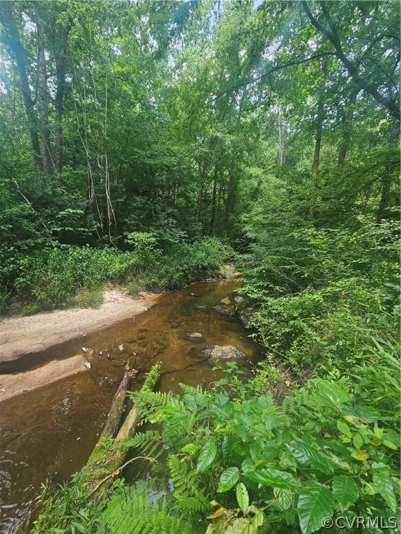 602 Longview Dr, Kenbridge, VA 23944 - photo 20