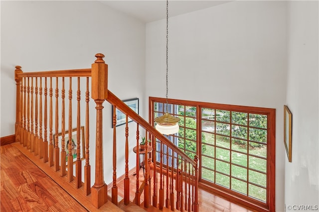 stairs featuring hardwood / wood-style flooring, a towering ceiling, and a wealth of natural light