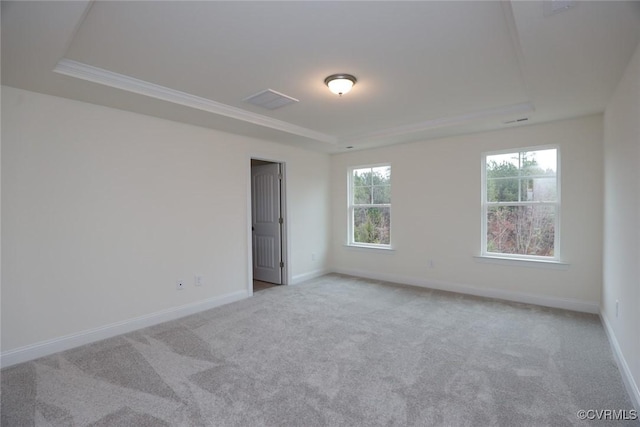 carpeted spare room with a raised ceiling