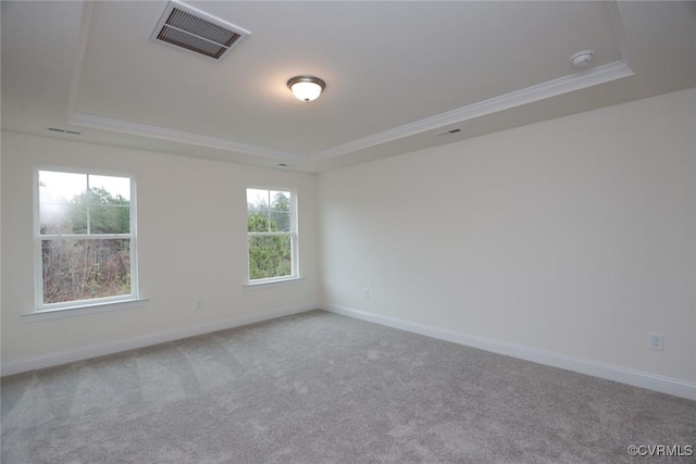 spare room with a tray ceiling, crown molding, and carpet flooring