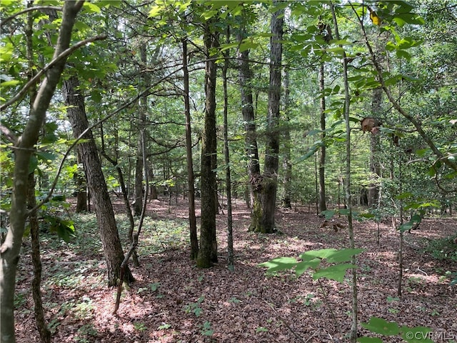 LOT23 Elaines Rd, Bracey VA, 23919 land for sale