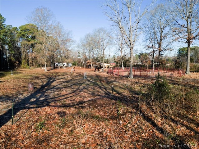 view of yard featuring a rural view