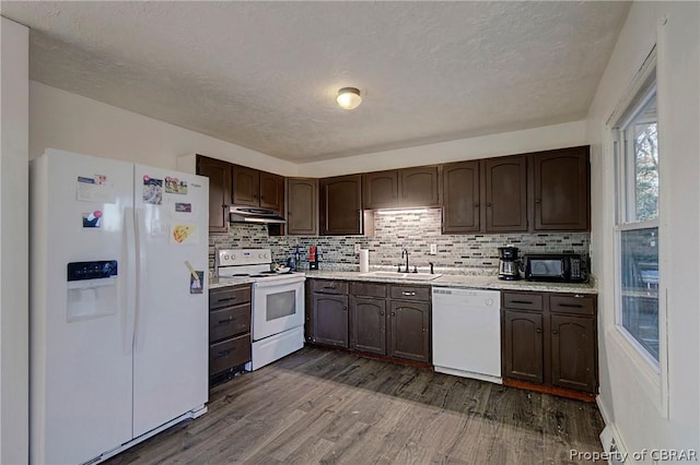 kitchen with sink, tasteful backsplash, dark hardwood / wood-style flooring, white appliances, and dark brown cabinets