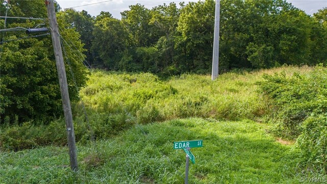 1207 Edar St, Petersburg, VA 23803 - photo 4